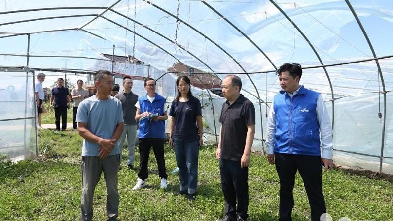 臺風“貝碧嘉”過后，蘇州農業生產全力以“復”